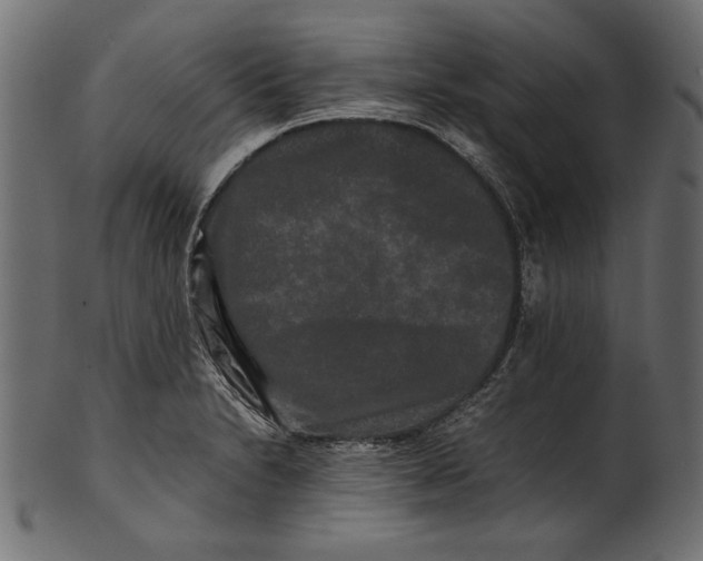 X0000100881230200807181251