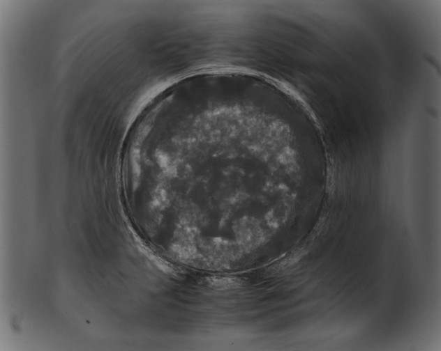 X0000100881231200807181251