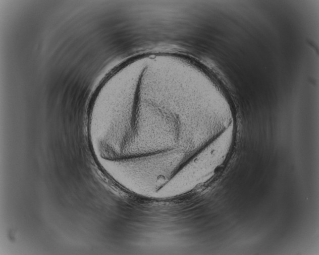 X0000100881232200807181251