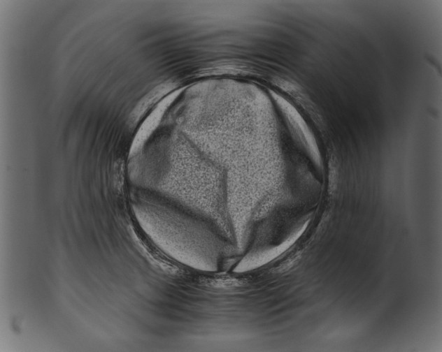 X0000100881233200807181251