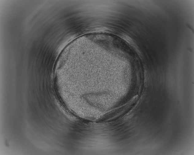 X0000100881234200807181251