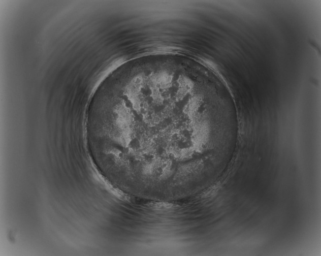 X0000100881235200807181251