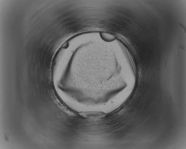 X0000100881236200807181251