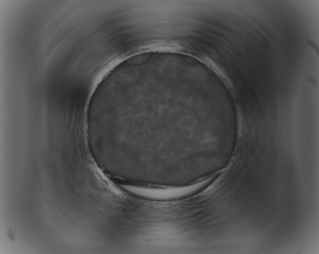 X0000100881240200807181251