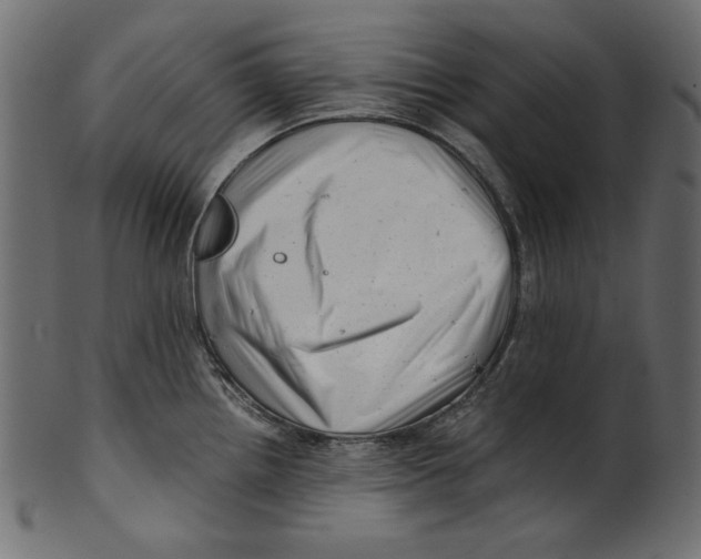 X0000100881242200807181251