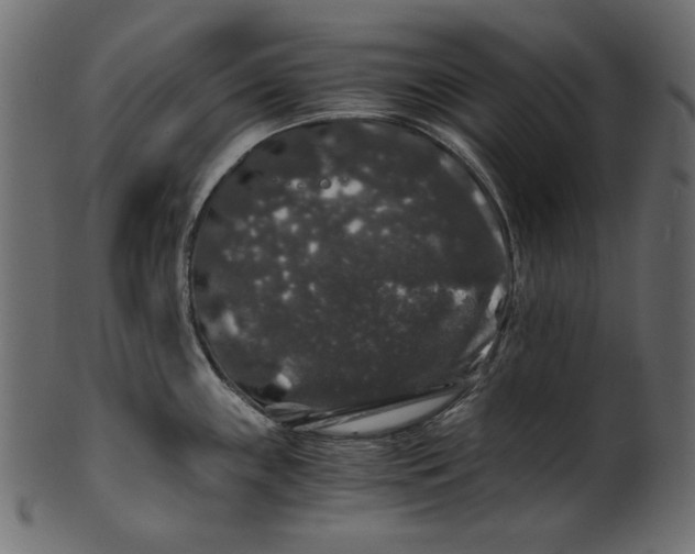 X0000100881243200807181251