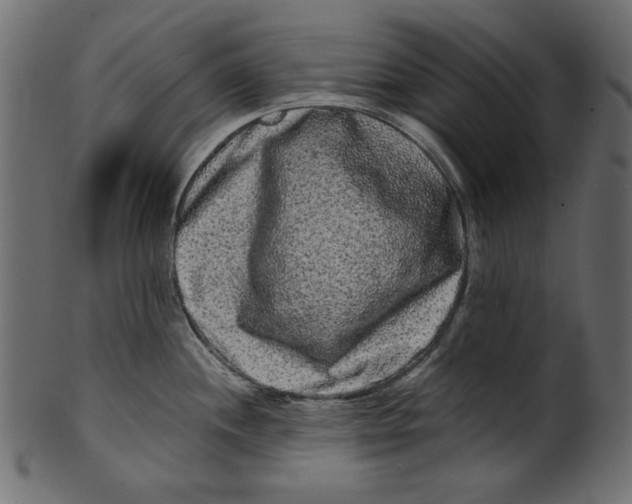 X0000100881244200807181251