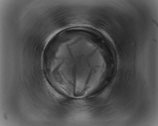 X0000100881246200807181251