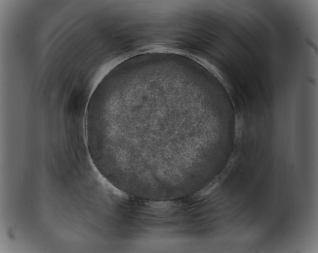 X0000100881247200807181251