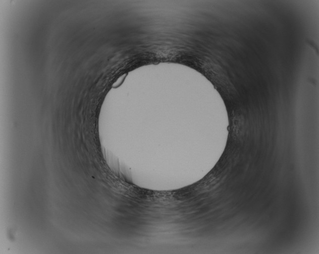 X0000100881249200807181251