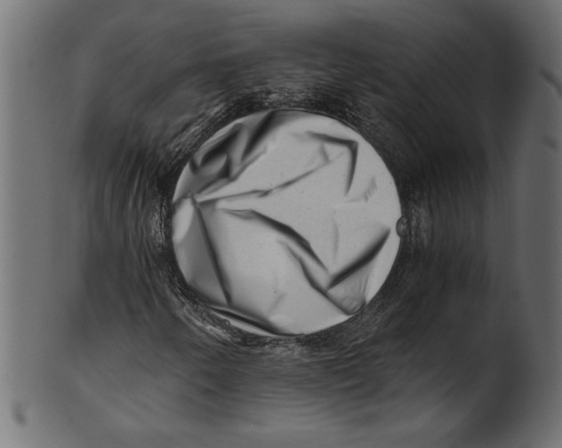 X0000100881250200807181251