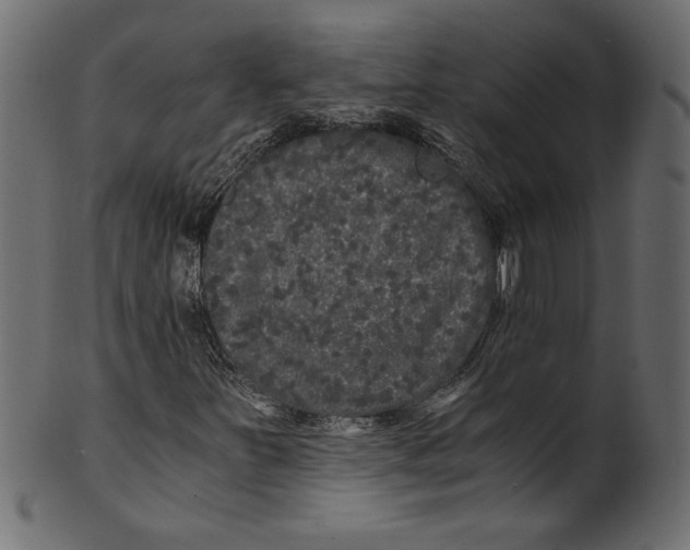 X0000100881251200807181251