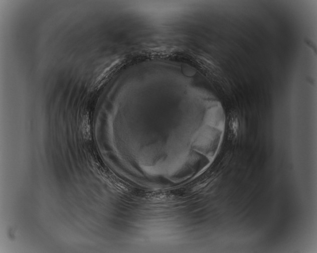 X0000100881252200807181251