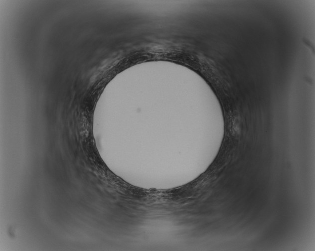 X0000100881253200807181251