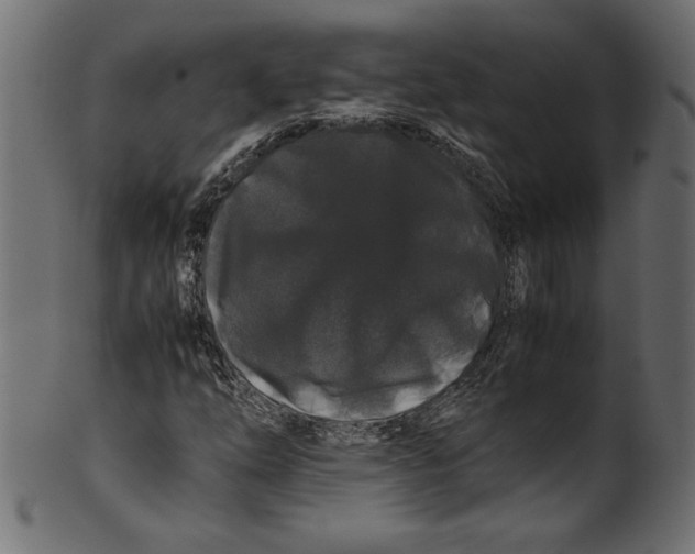 X0000100881254200807181251