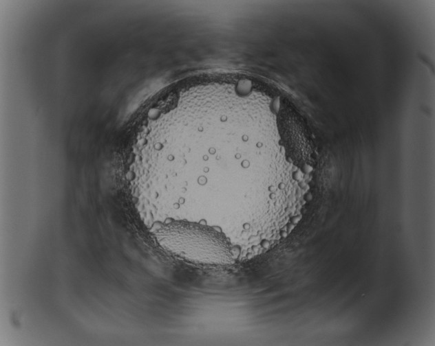 X0000100881255200807181251