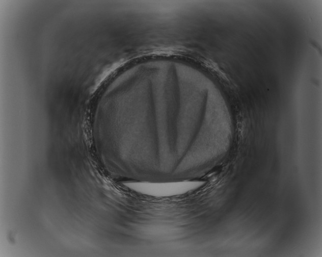 X0000100881256200807181251