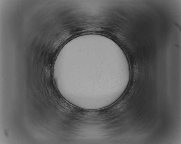 X0000100881257200807181251