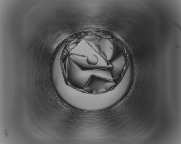 X0000100881259200807181251