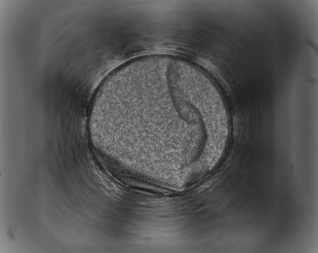 X0000100881260200807181251