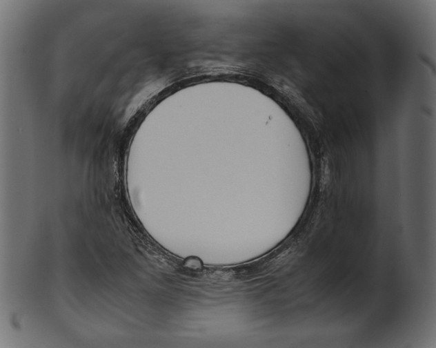 X0000100881261200807181251