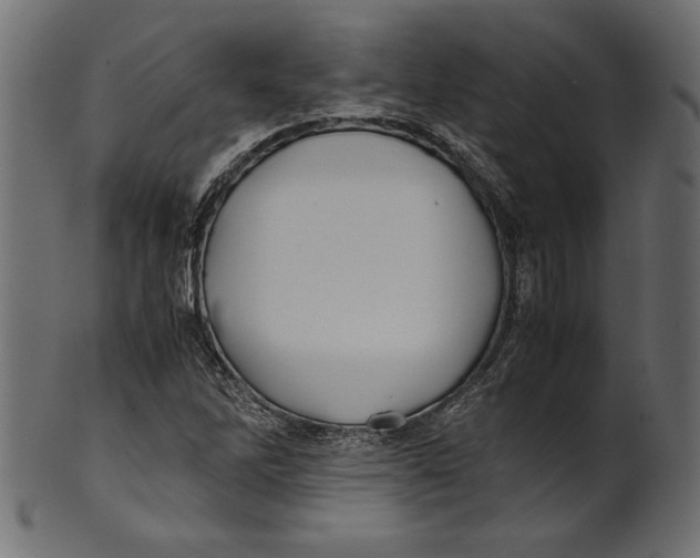 X0000100881262200807181251