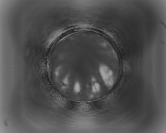 X0000100881263200807181251