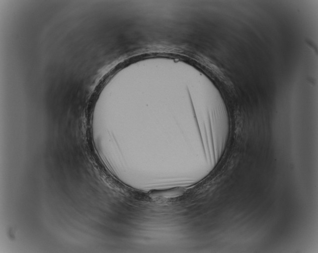 X0000100881264200807181251