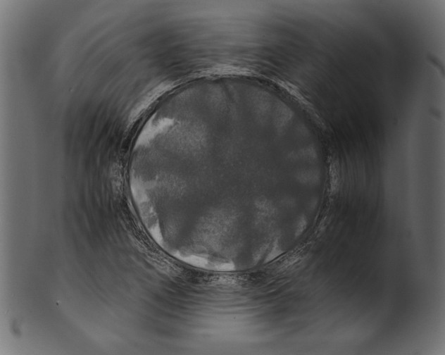 X0000100881266200807181251