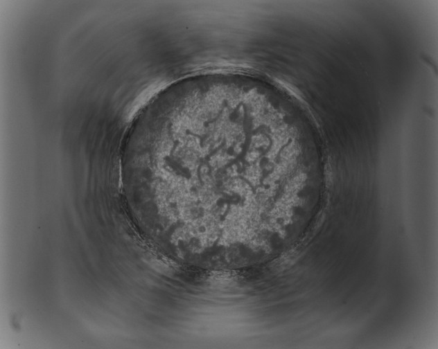 X0000100881267200807181251