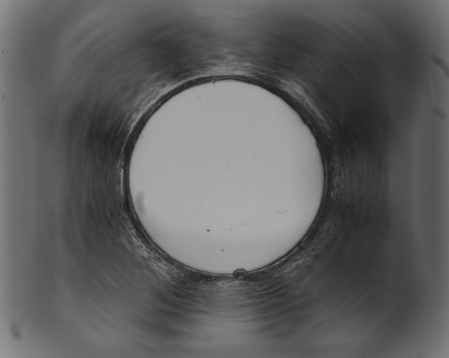 X0000100881268200807181251