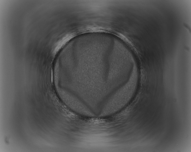 X0000100881269200807181251