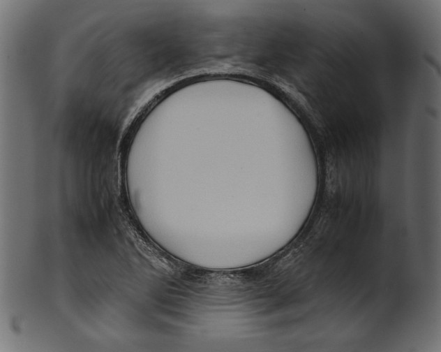 X0000100881270200807181251