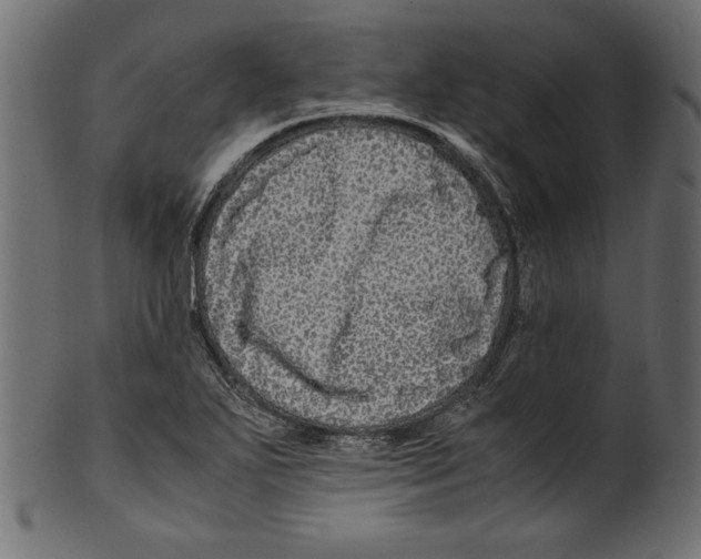 X0000100881271200807181250