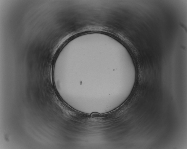 X0000100881272200807181250