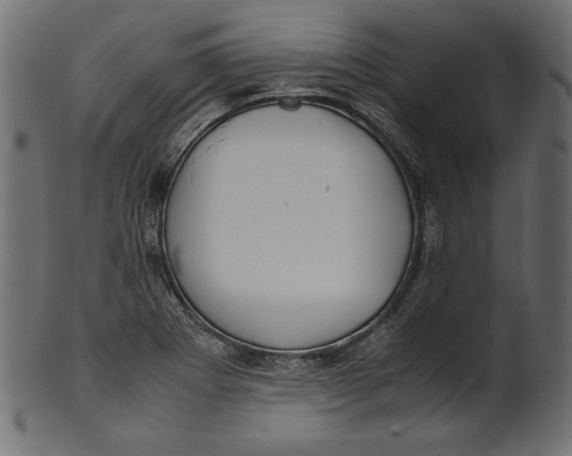 X0000100881273200807181250