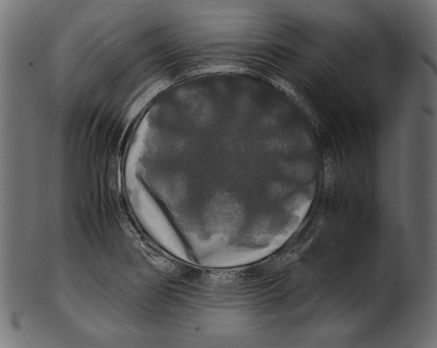 X0000100881274200807181250