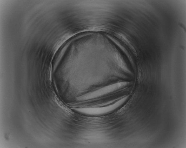 X0000100881276200807181250