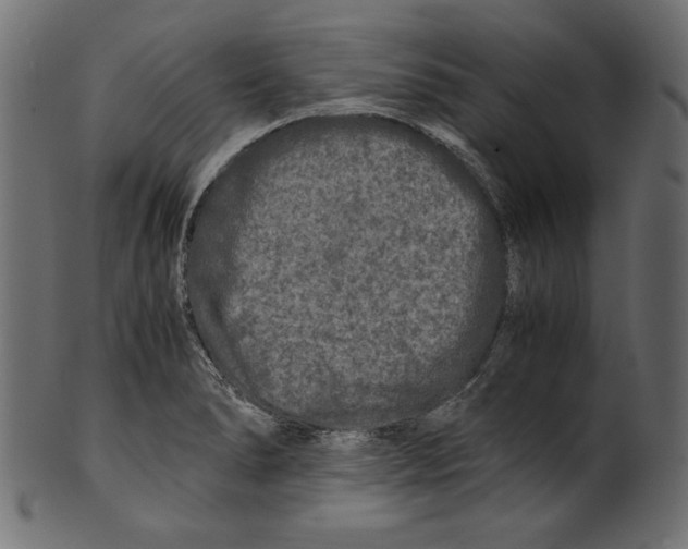 X0000100881278200807181250