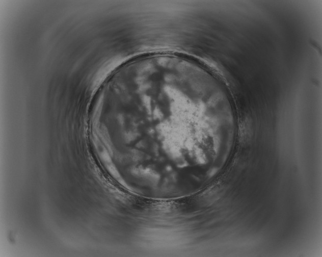 X0000100881279200807181250