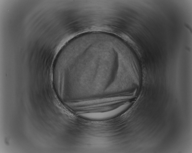 X0000100881280200807181250