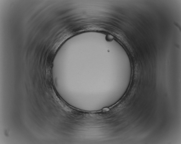 X0000100881281200807181250