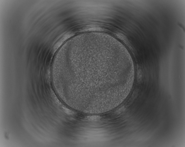 X0000100881282200807181250