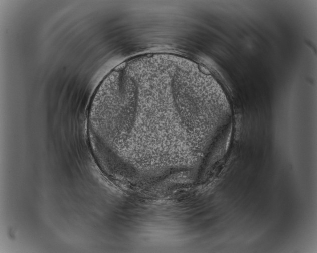 X0000100881284200807181250