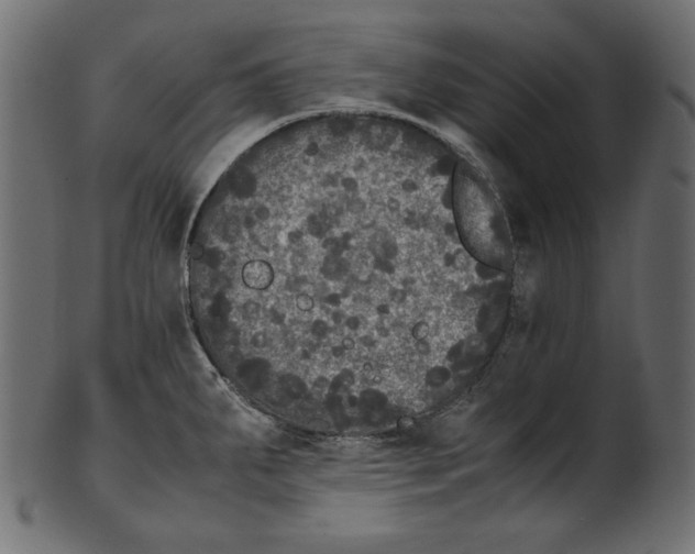 X0000100881287200807181250