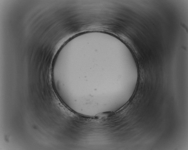 X0000100881288200807181250