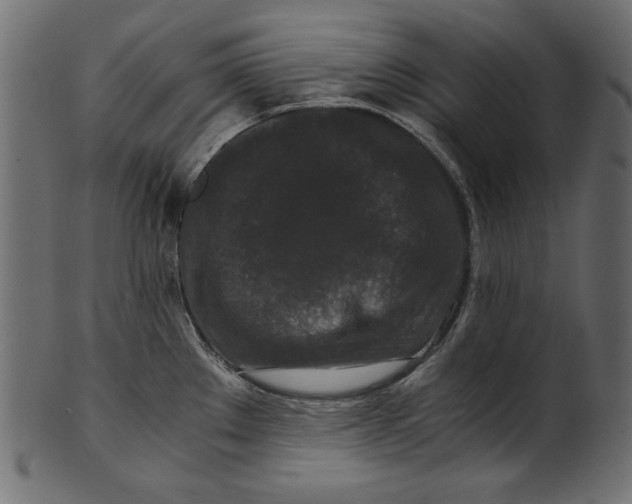 X0000100881289200807181250