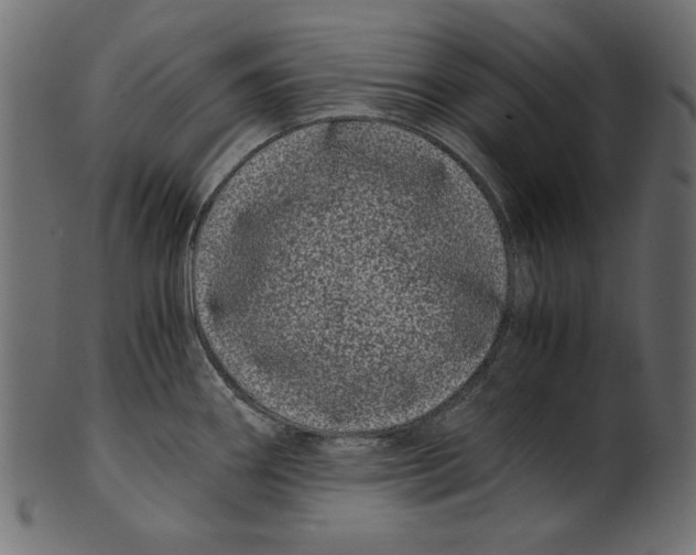 X0000100881290200807181250