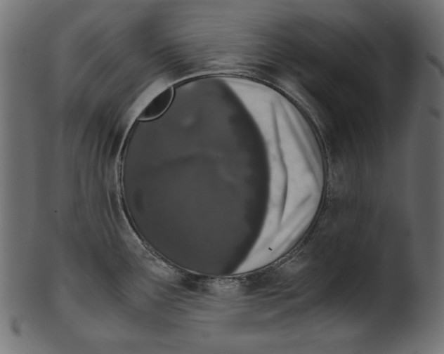 X0000100881291200807181250