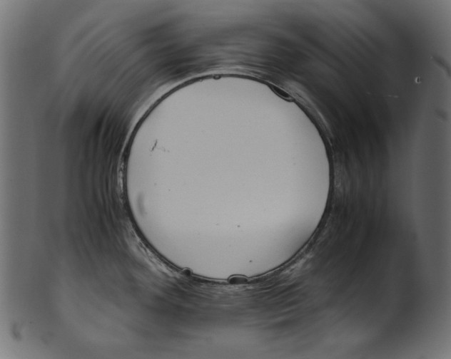 X0000100881292200807181250